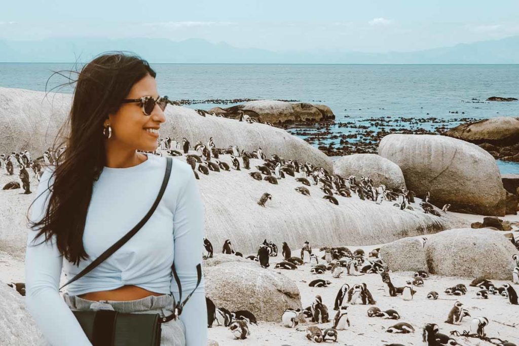 boulder's beach roteiro cape town