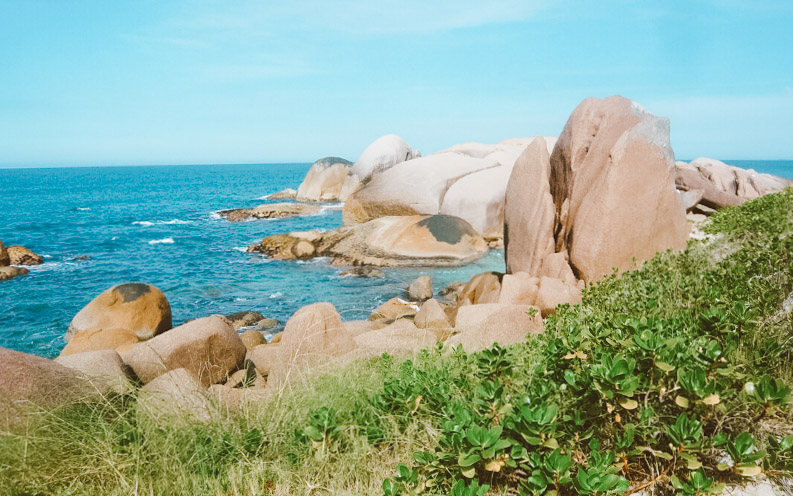 praia do forte floripa