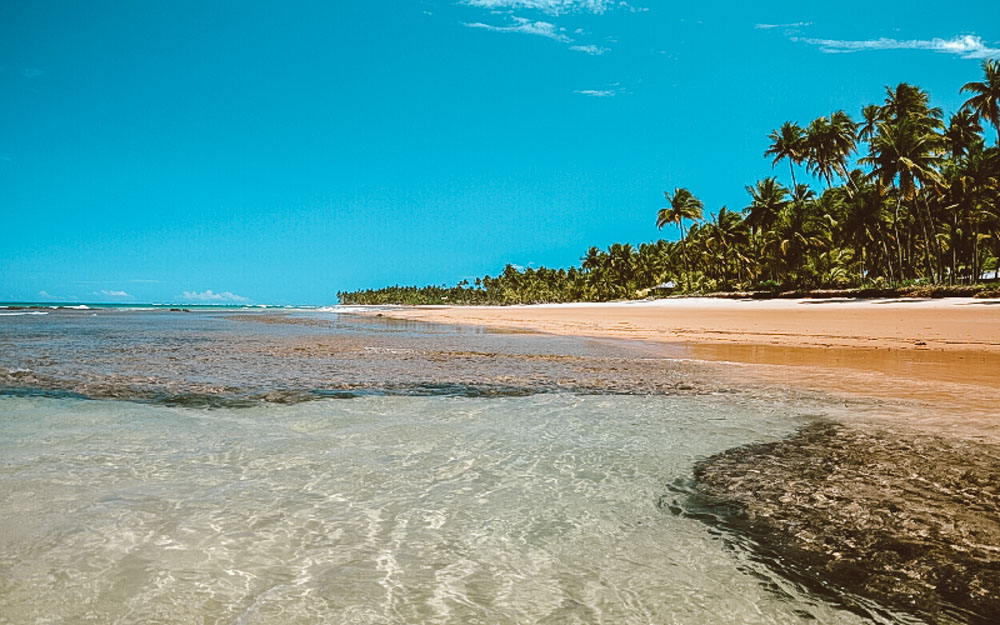 Melhores praias da Bahia: 10 praias incríveis para conhecer no litoral  baiano | Mala de Aventuras