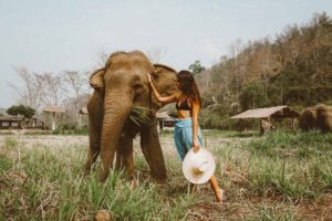 para onde viajar em 2022 pós coronavírus