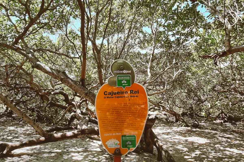 o que fazer no piauí além das praias