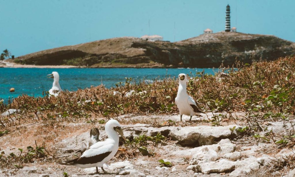 parque nacional do brasil