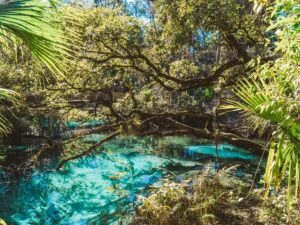 o que fazer em ocala na florida