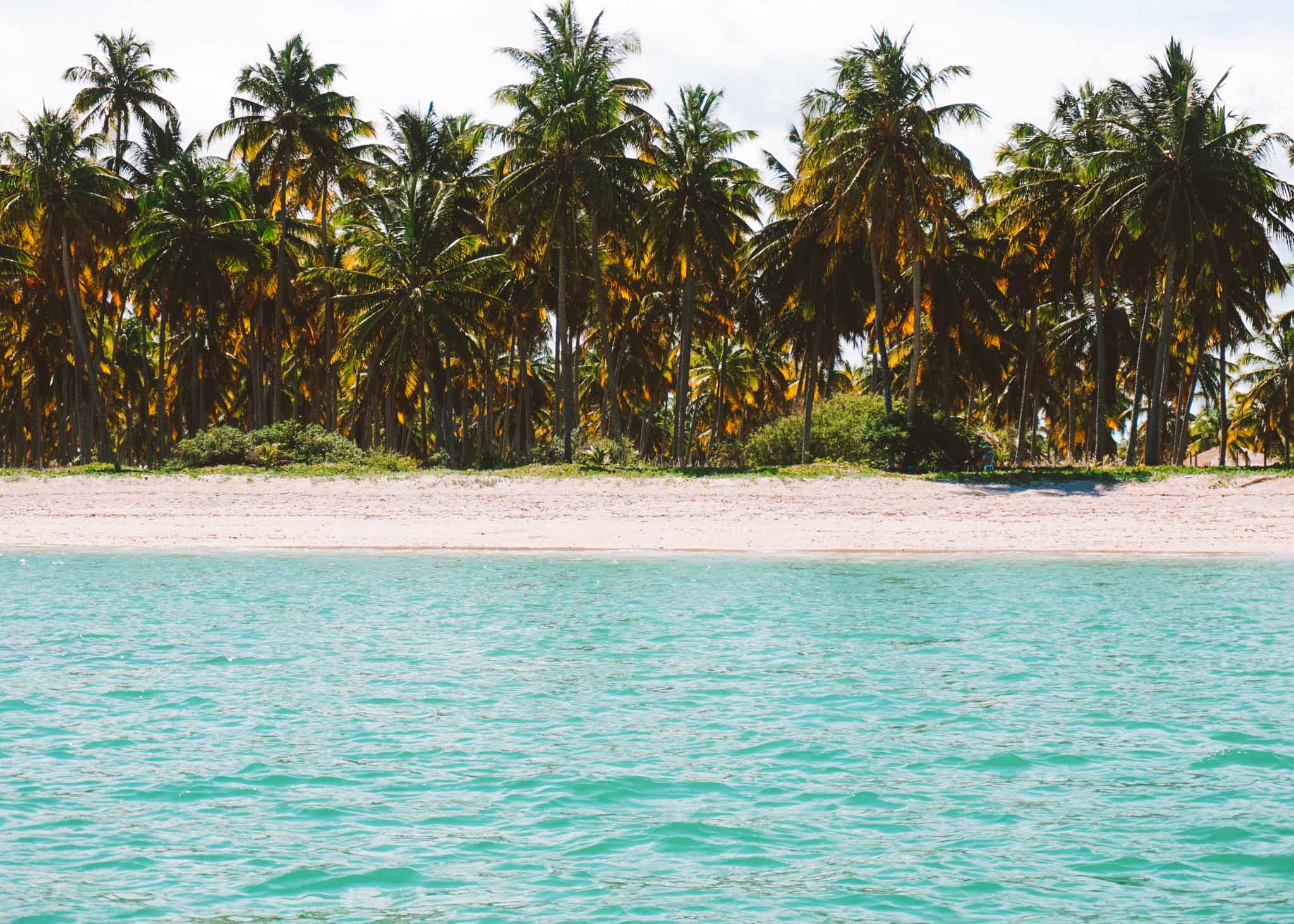 dicas de maceió