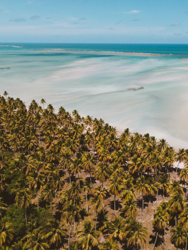 Lugares para conhecer em Alagoas