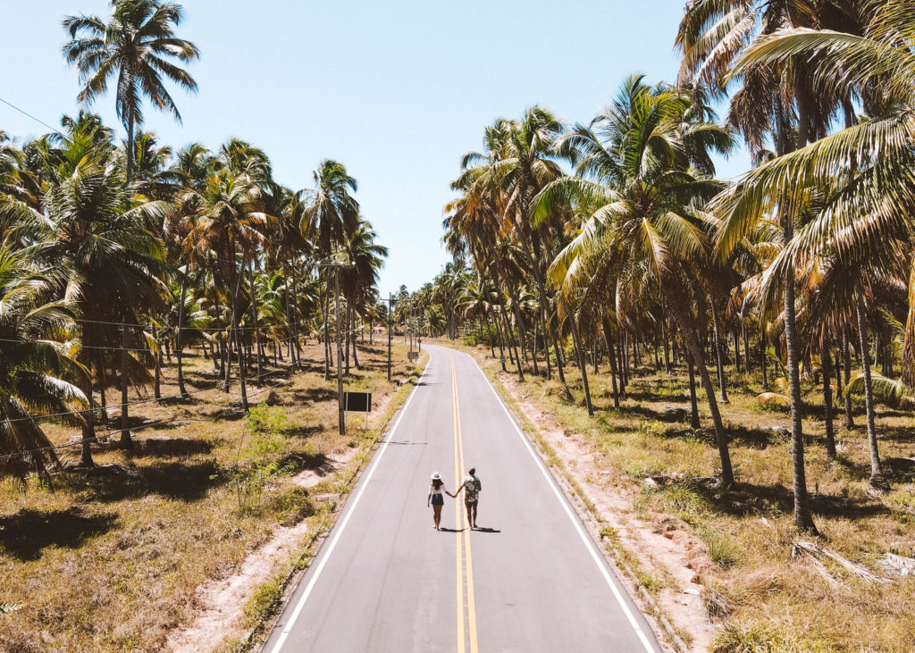 estrada de coqueiros