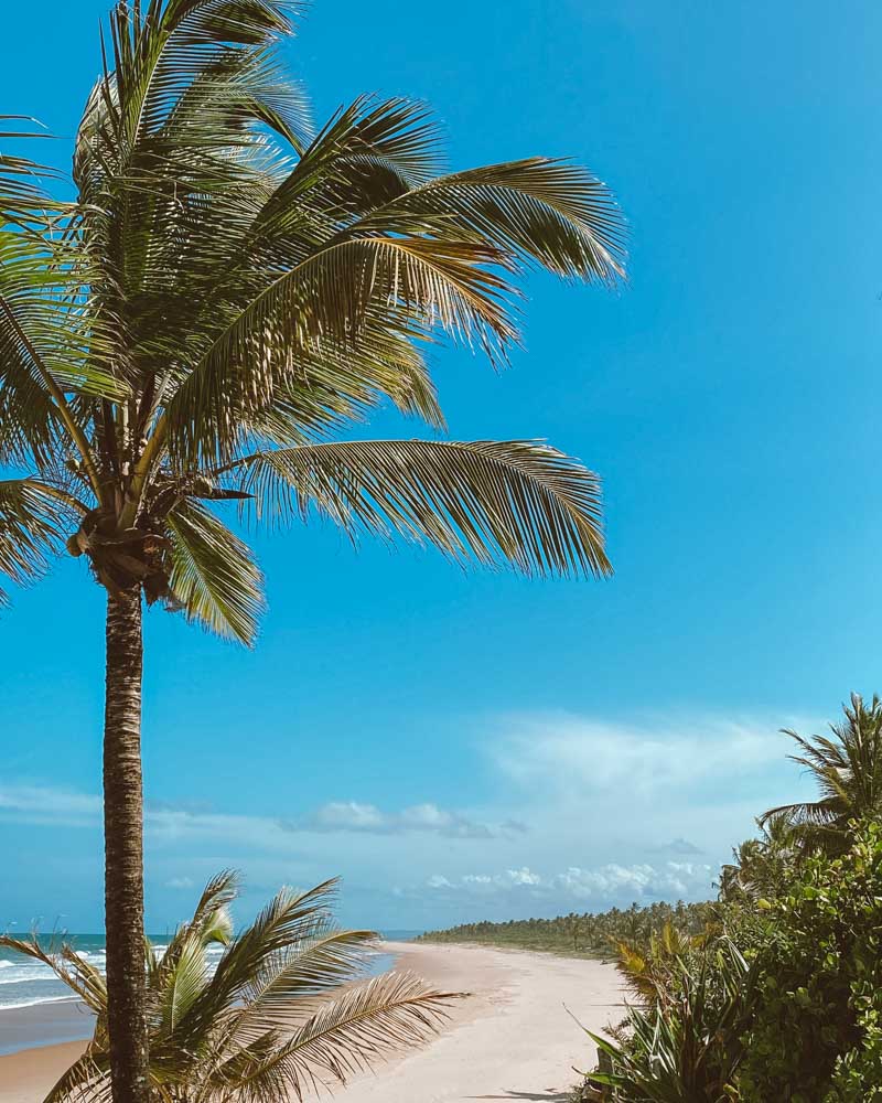 o que fazer na praia de algodões