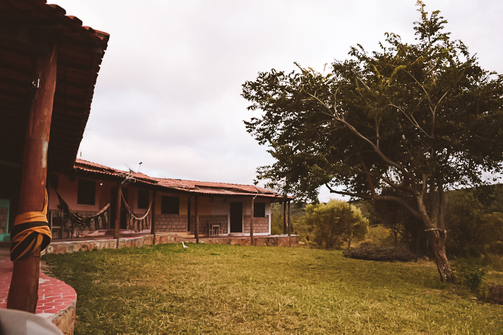 hospedagem pet friendly