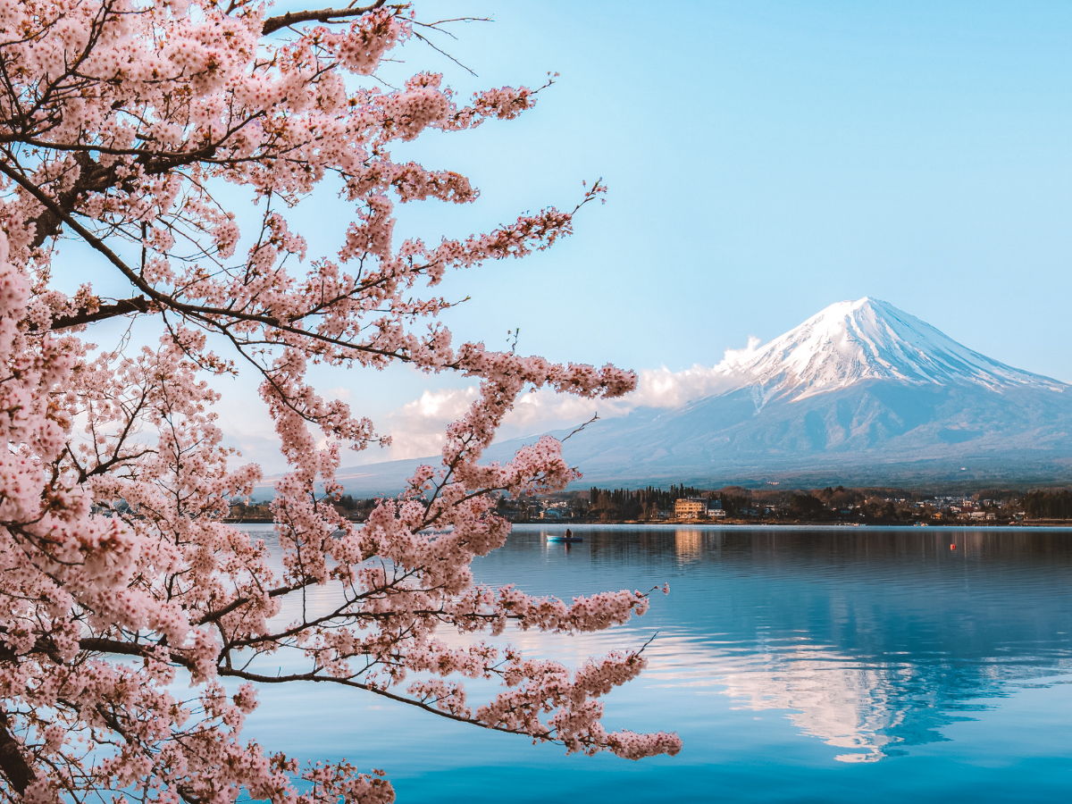 Melhor seguro viagem para o Japão (2026): TOP 7