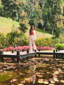 campos-do-jordao-webstories
