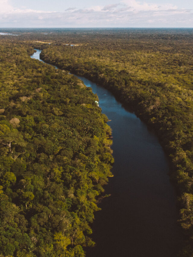 Experiências na Selva Amazônica