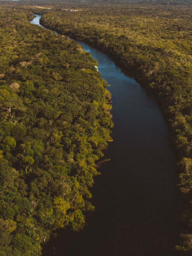 7 Lugares para conhecer no Amazonas