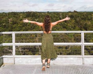 o que fazer em manaus