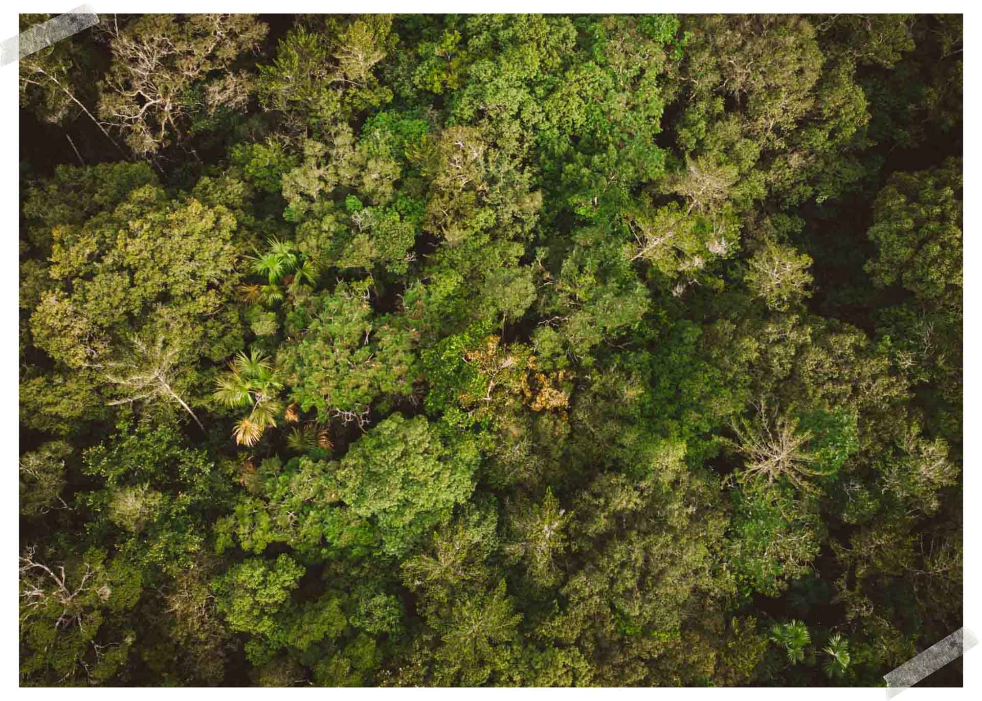 turismo no amazonas