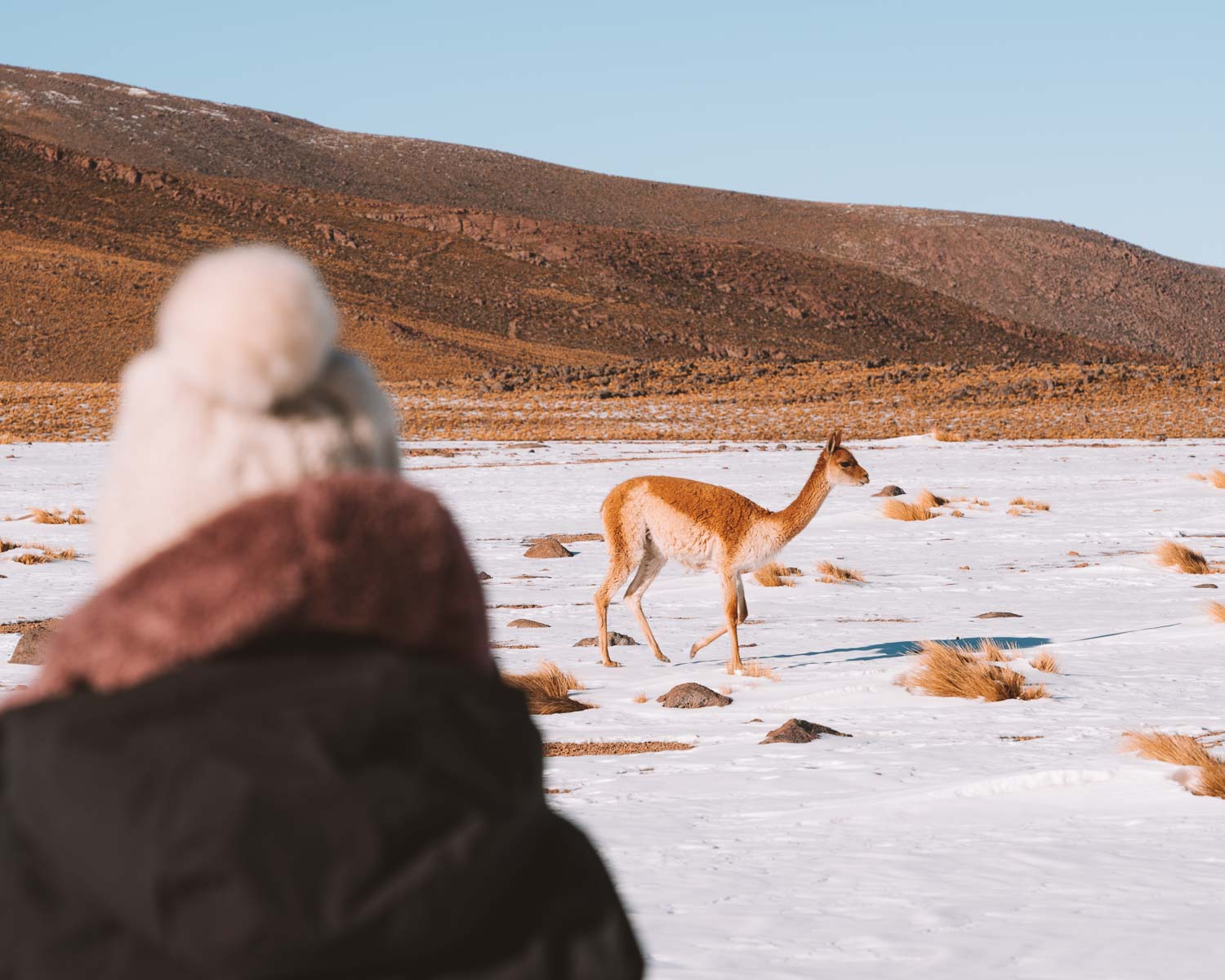 roteiro atacama inverno