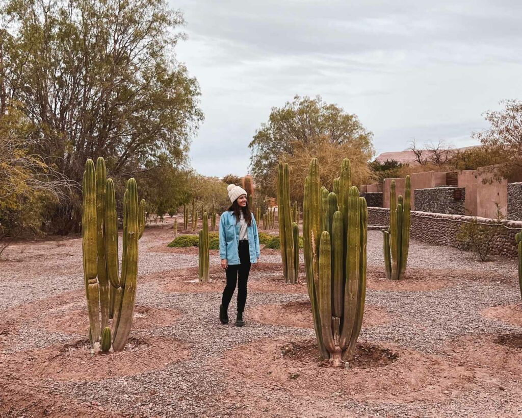 onde ficar atacama hotel cumbres