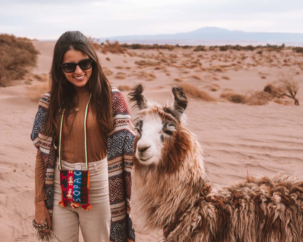 passeio com lhamas atacama