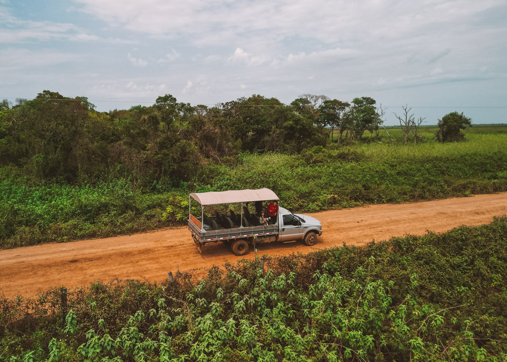 transpantaneira passeios pantanal