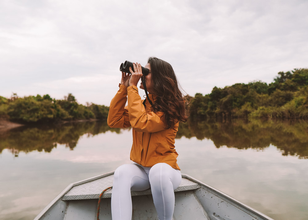 visitar o pantanal