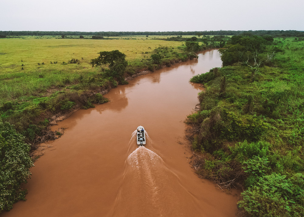 safari no pantanal