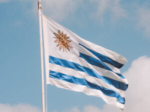 Chip de internet Uruguai: qual é o melhor? como comprar?