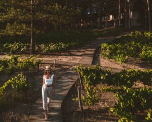 Carmelo, Uruguai: TOP 10 passeios e vinícolas para incluir no roteiro