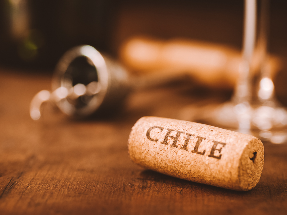 Melhores vinícolas no Chile