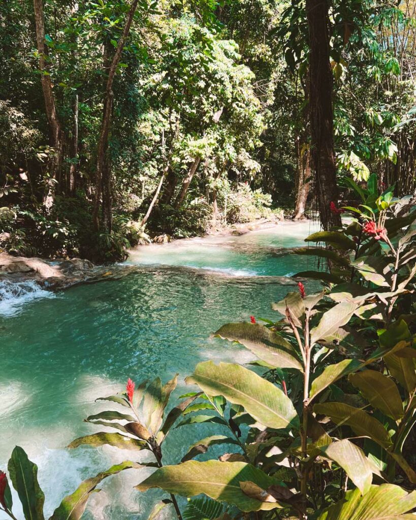 o que fazer na jamaica