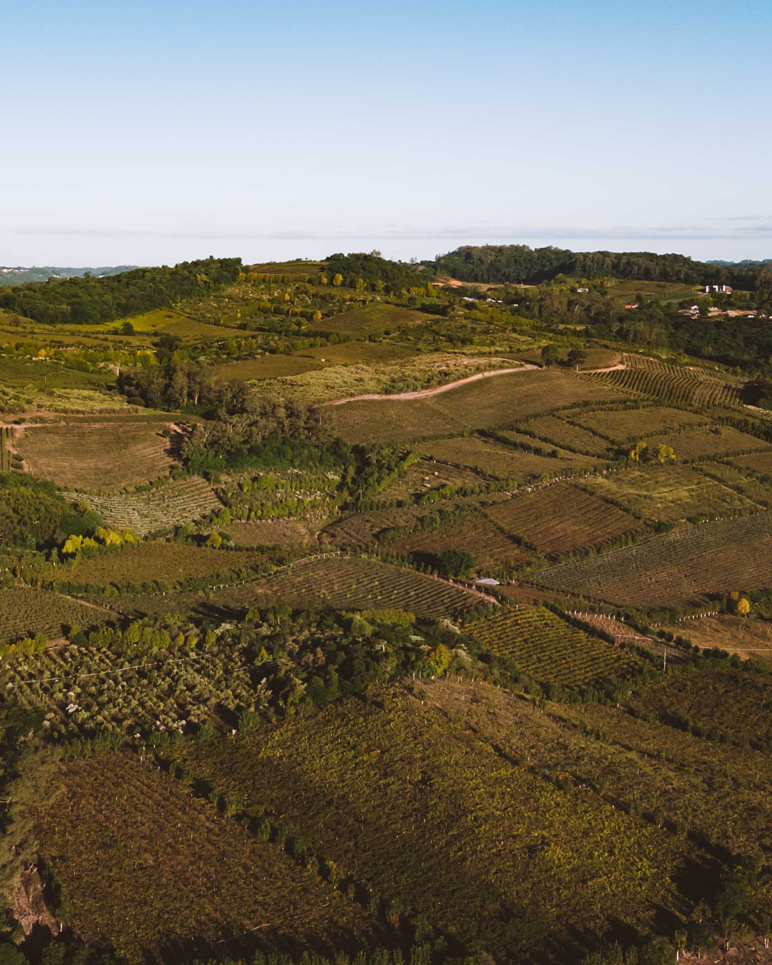 Vale dos vinhedos RS
