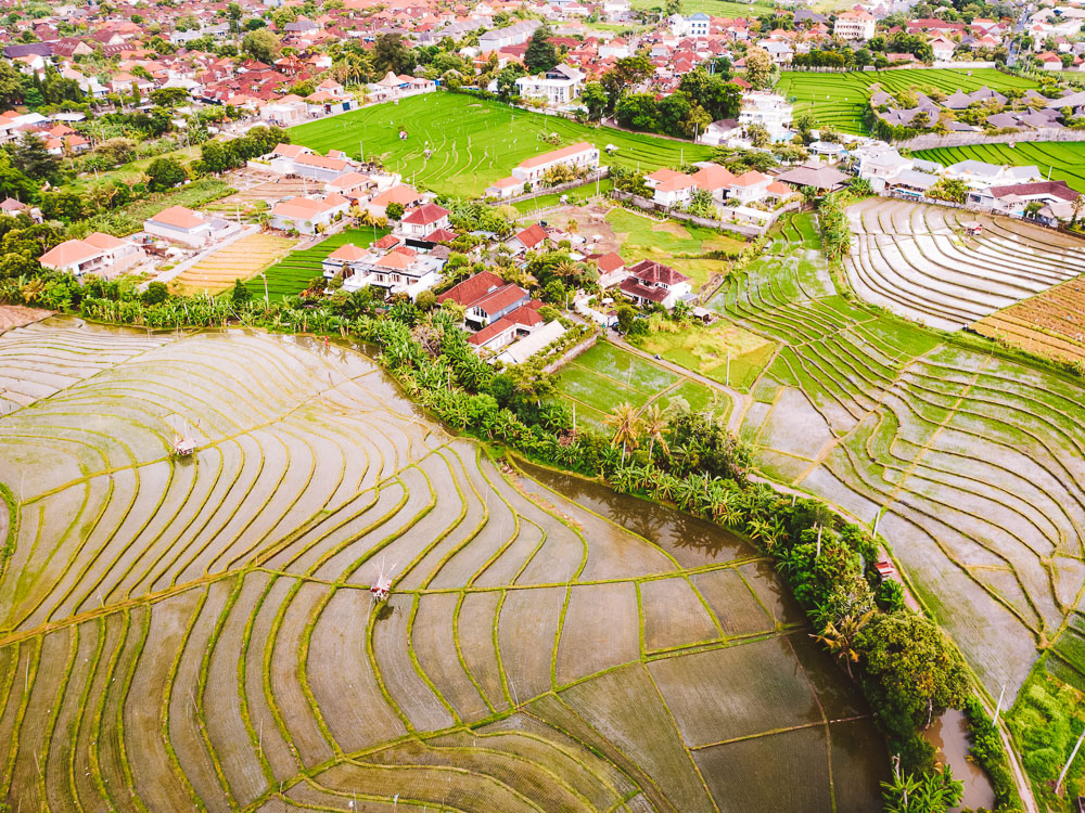 dicas de Canggu bali