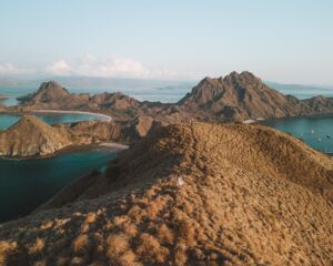 Ilha de Komodo: como visitar esse destino incrível na Indonésia