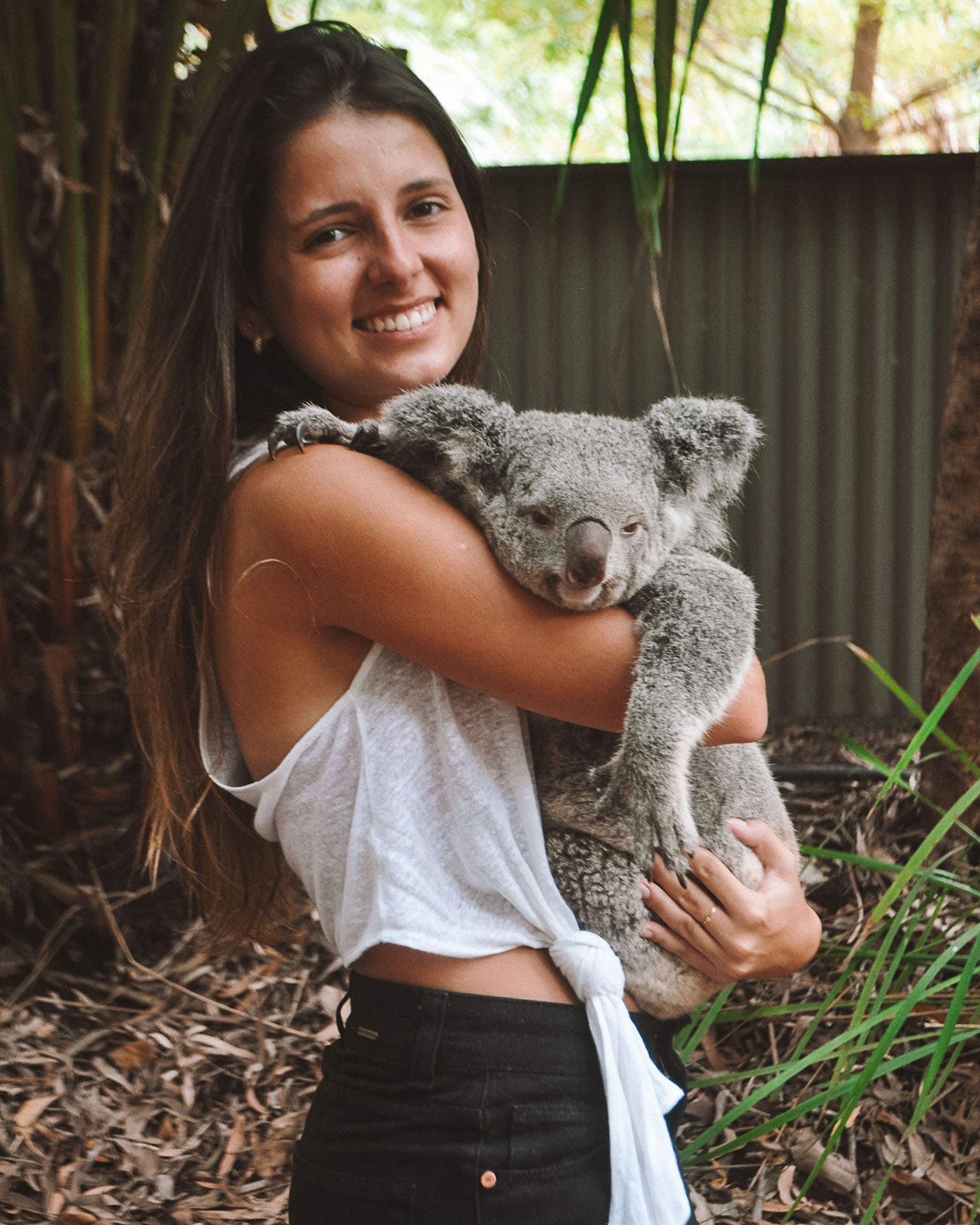 bairros seguros em sydney