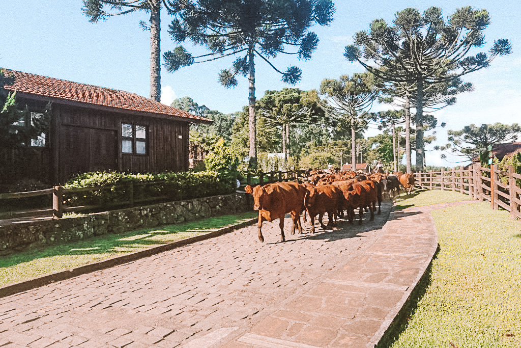 melhores hoteis fazenda na serra catarinense
