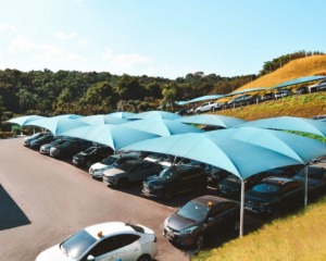 airport park