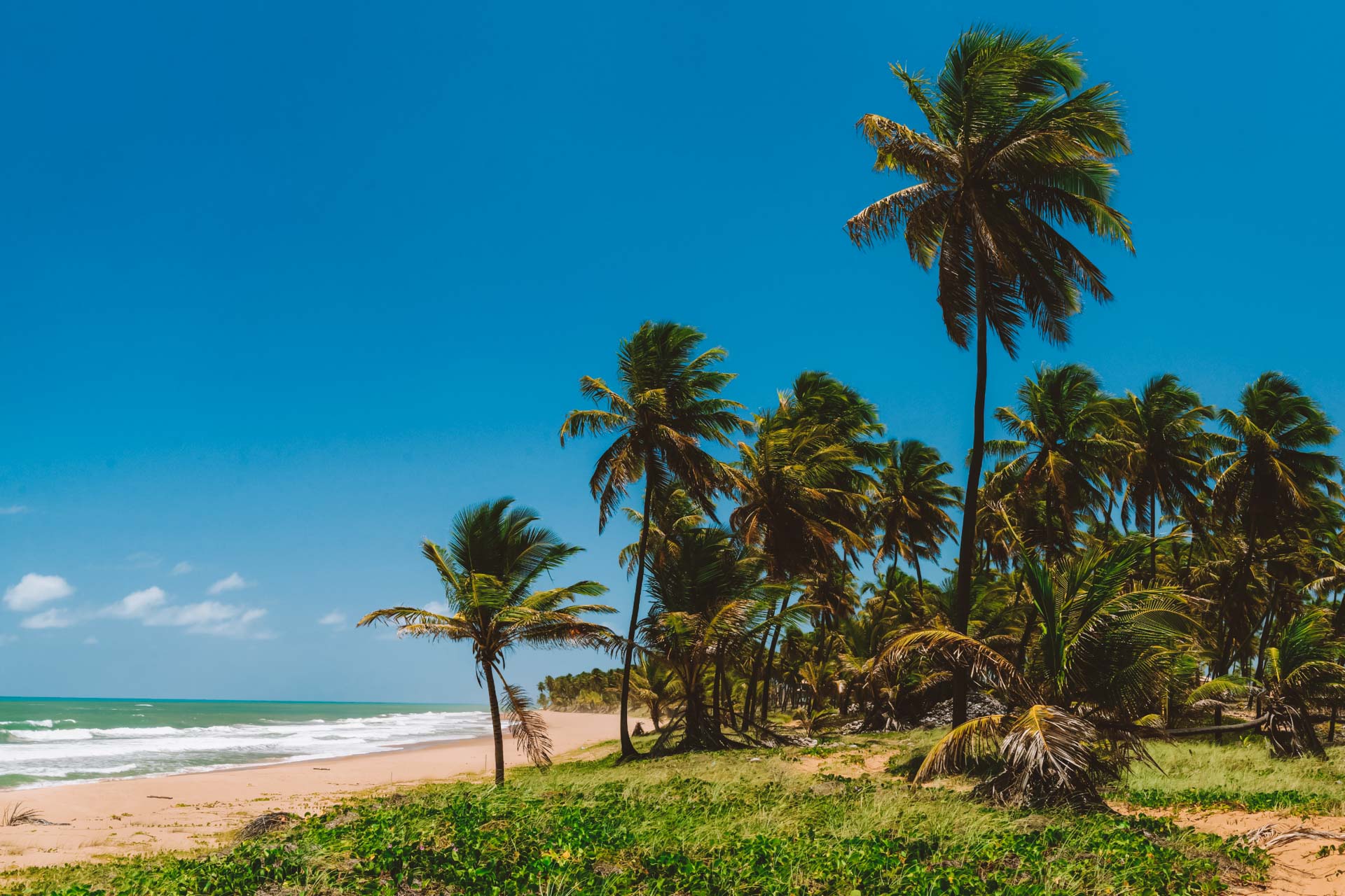 Bahia