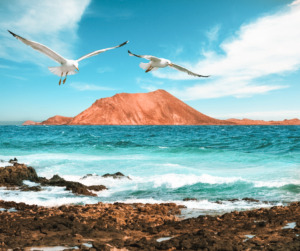 ilhas canarias