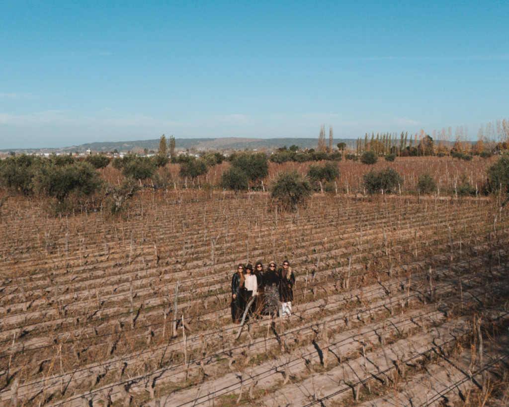 Melhores vinícolas em Mendoza