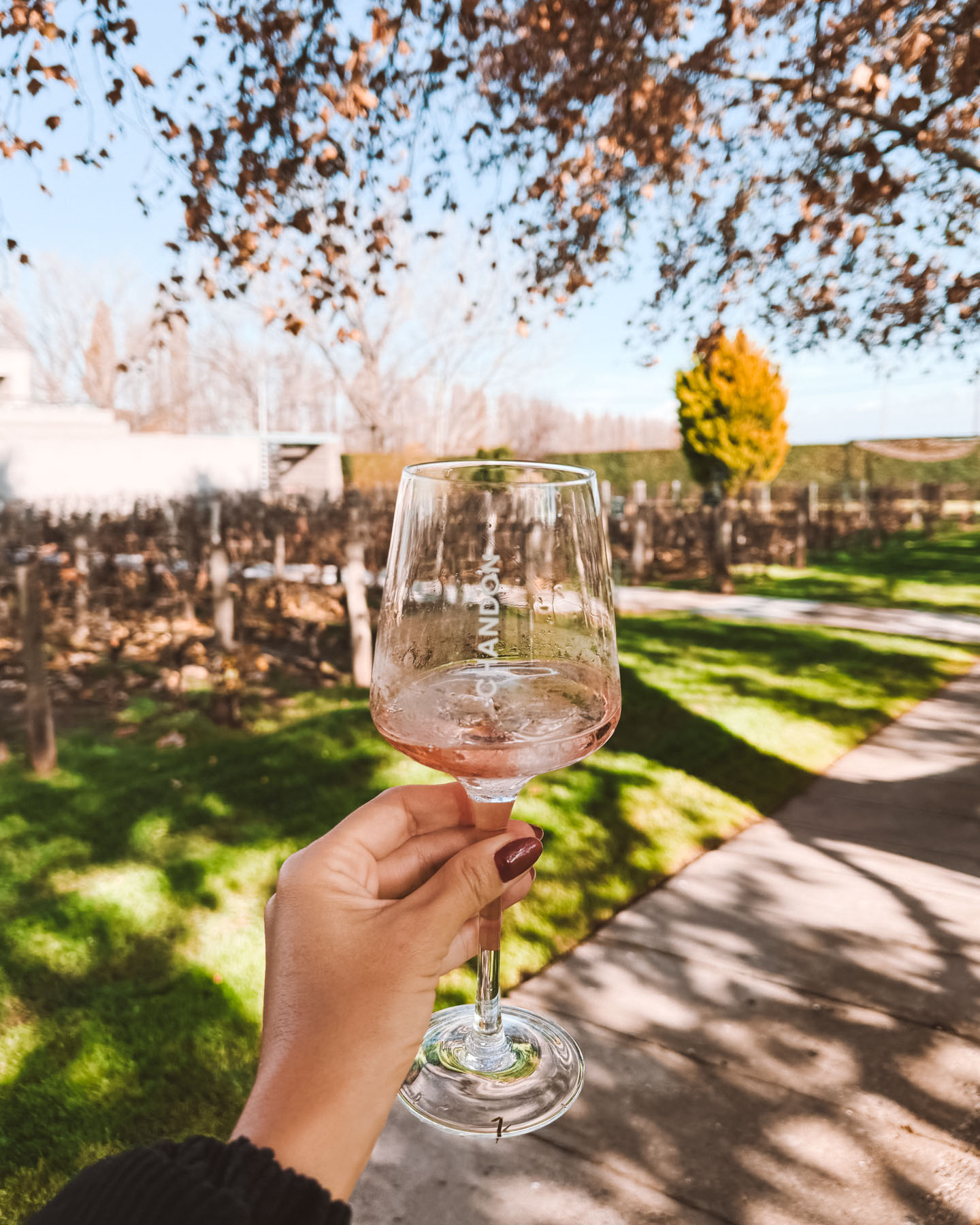 melhores vinícolas mendoza