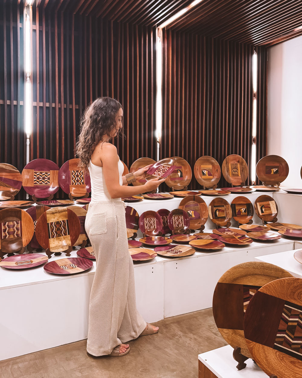 passeio anavilhanas 1 dia