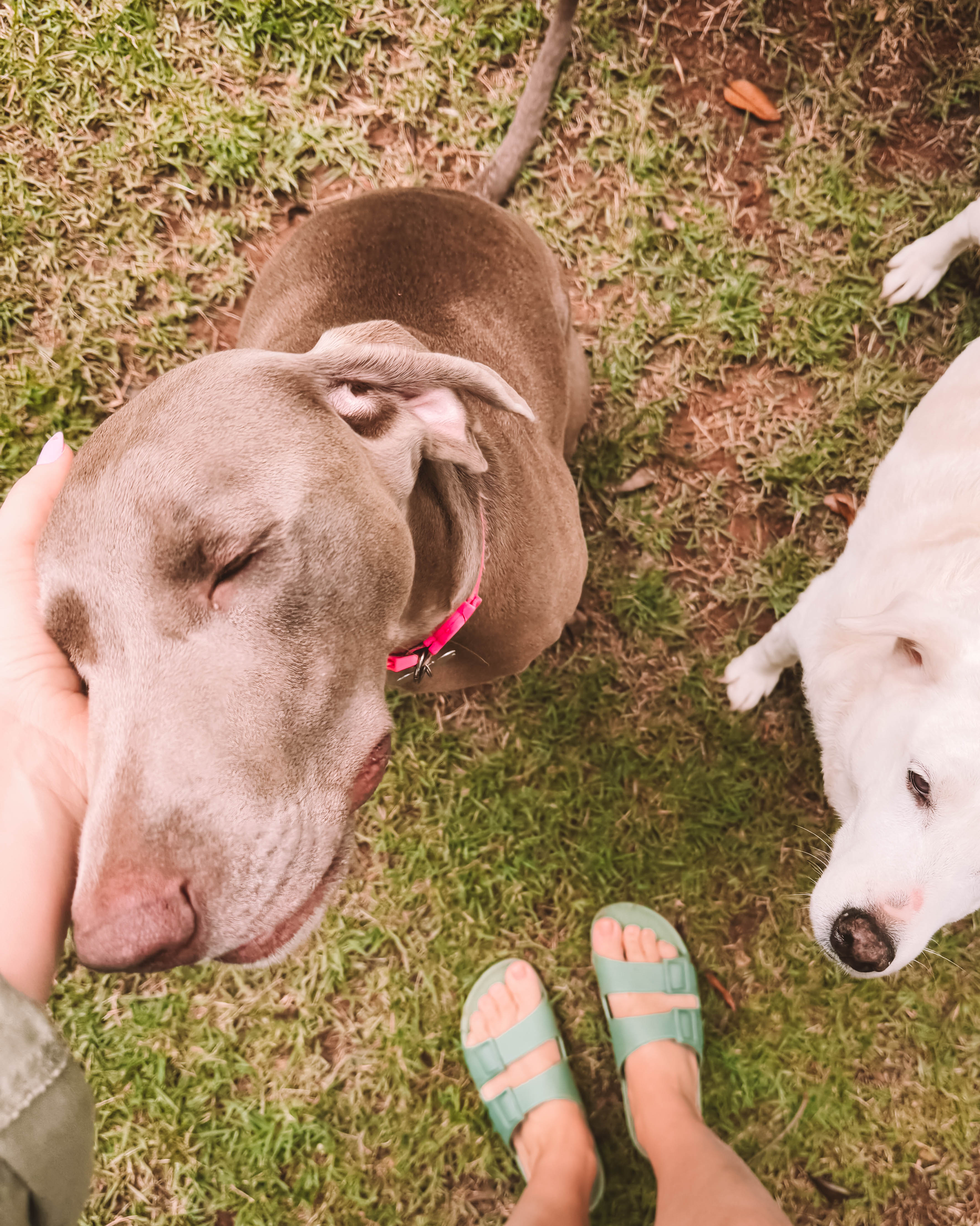 cupom de desconto linus