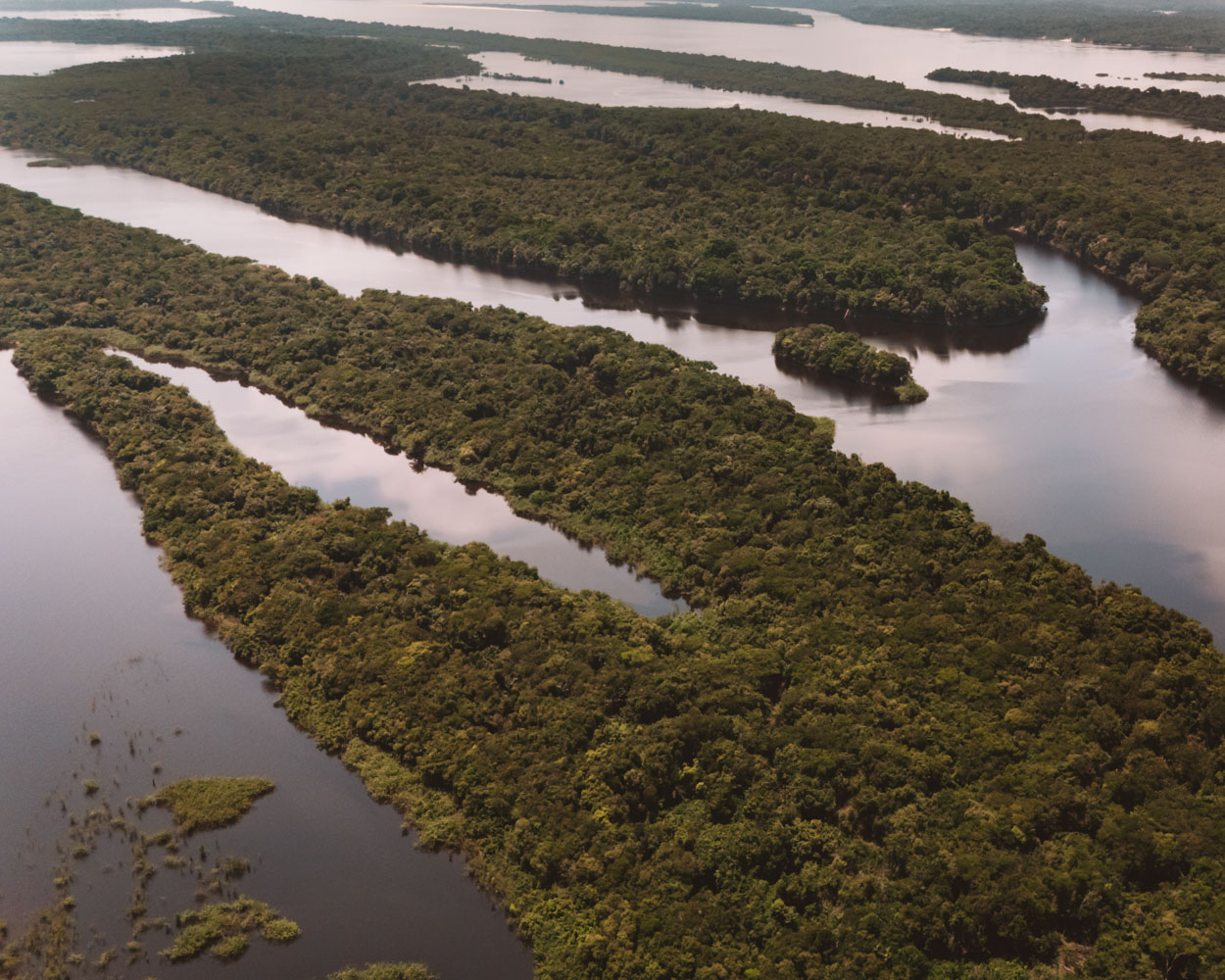 anavilhanas novo airão