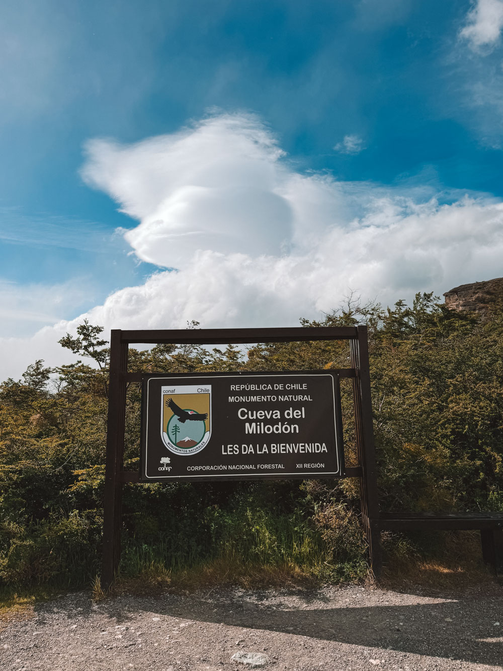 agência torres del paine