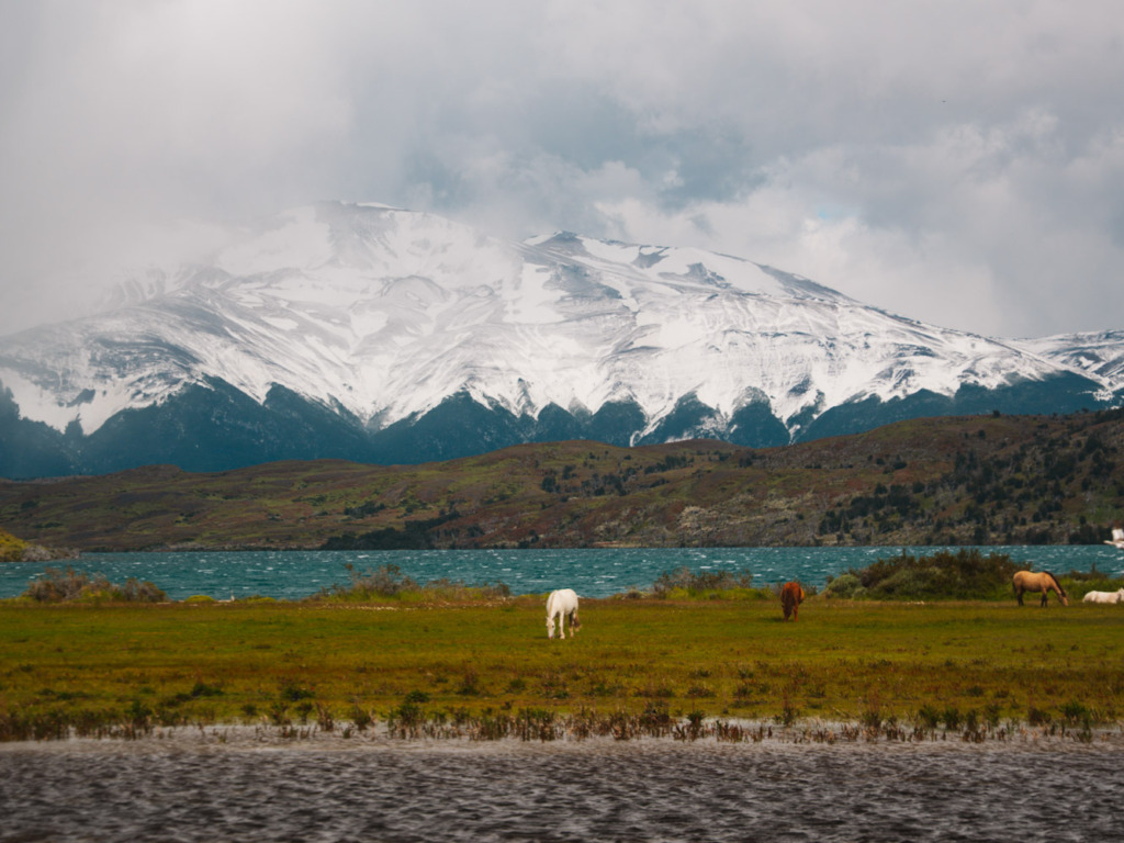 Melhores agências torres del paine