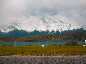 Melhores agências torres del paine