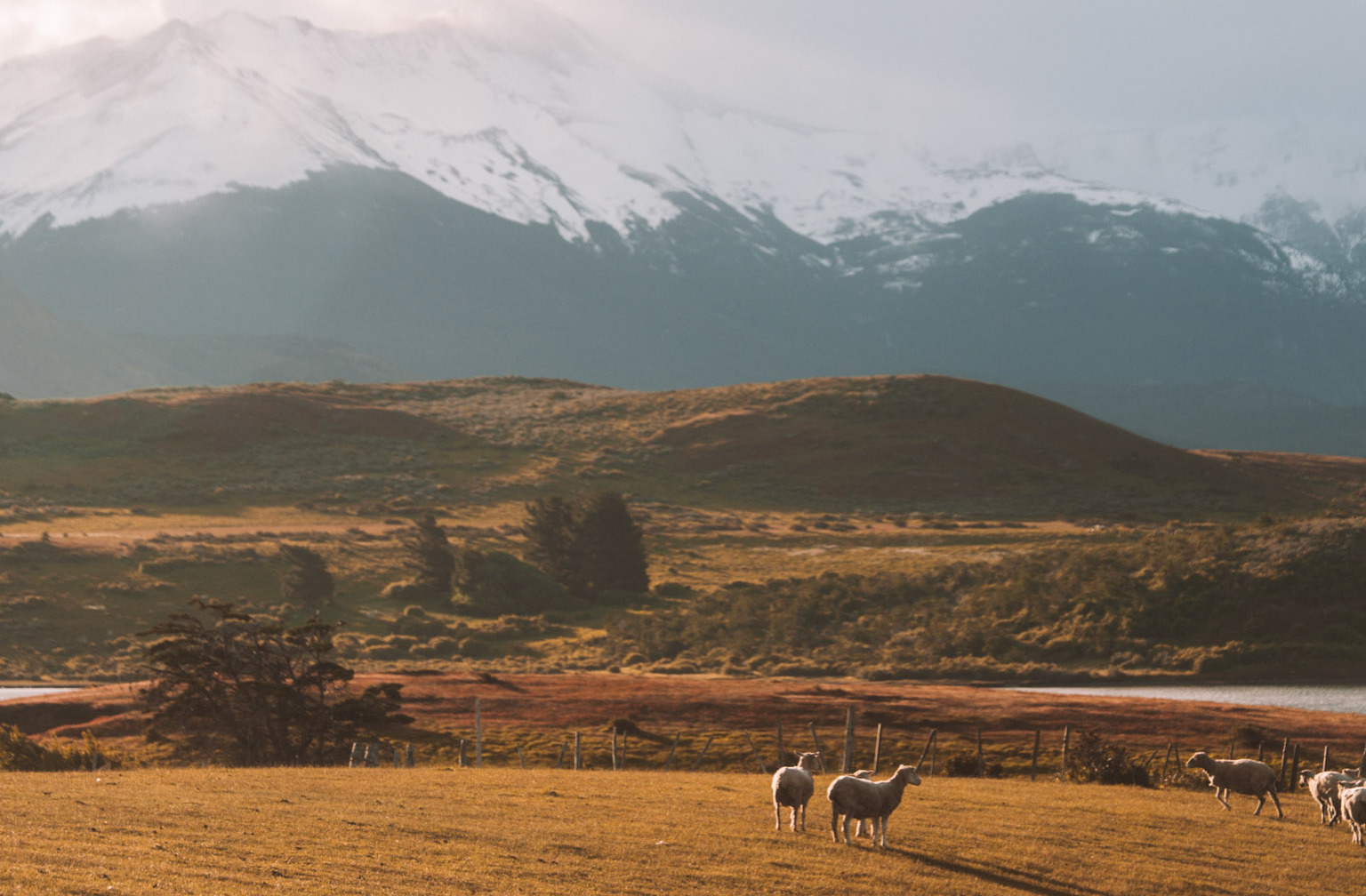 O que fazer em Puerto Natales: melhores passeios, restaurantes e dica de roteiro