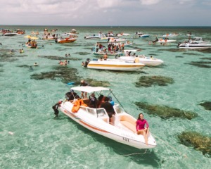 parrachos de perobas