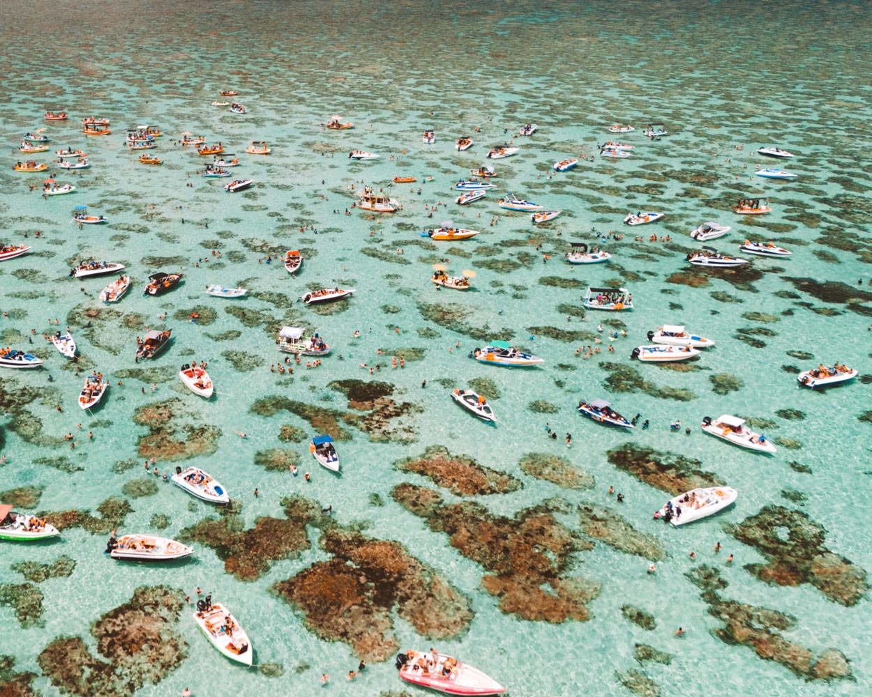 parrachos de perobas