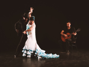 Show de flamenco em Sevilha